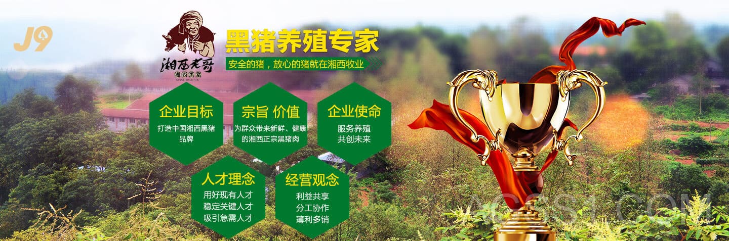 来利国际旗舰厅试验