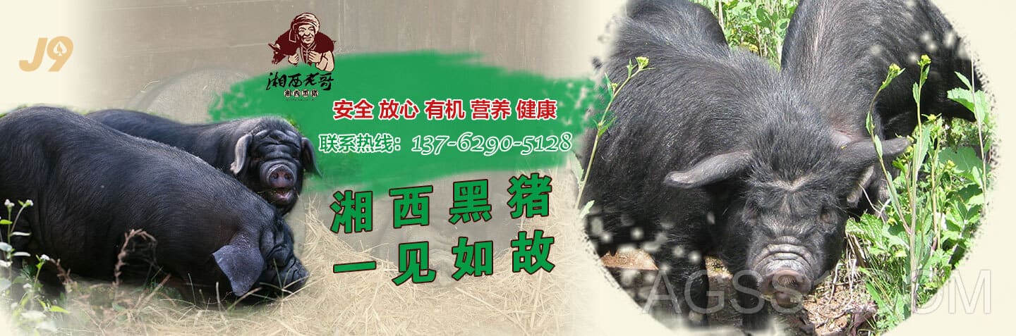 来利国际旗舰厅试验