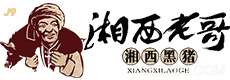 来利国际旗舰厅试验APP官方|利来国国际最给力的老牌子